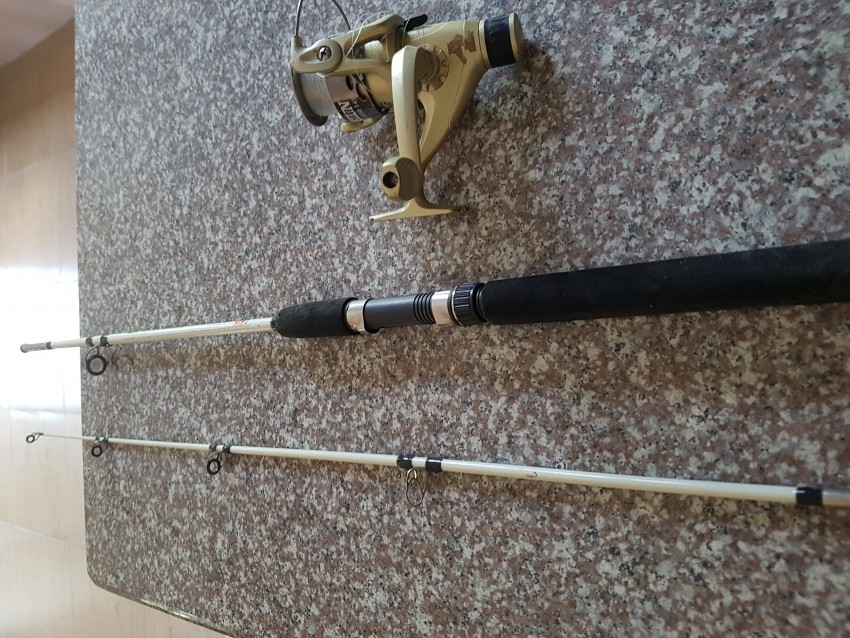 Fishing rod set on Aster Vender