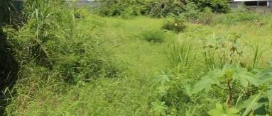 TERRAIN RÉSIDENTIEL - 50 PERCHES on Aster Vender