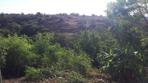 HOUSE ON SALE/ MAISON A VENDRE - 5 - House  on Aster Vender