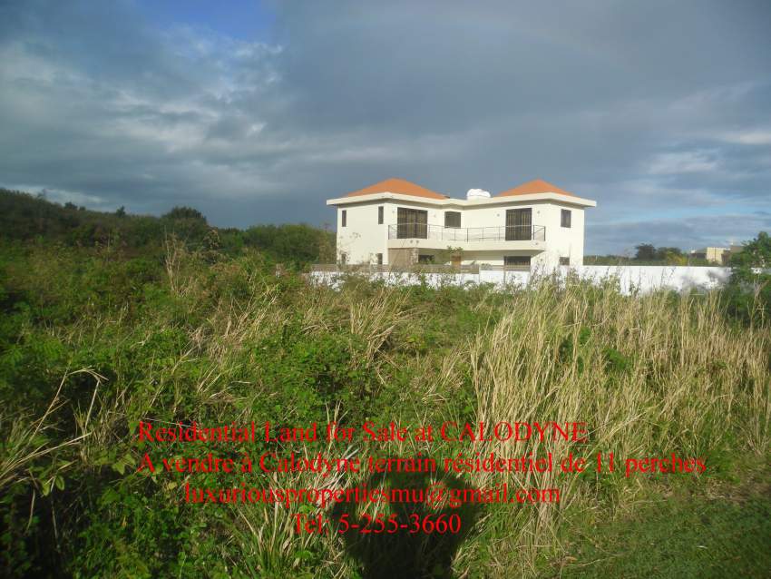 CALODYNE CHEVREAU LANE : Terrain résidentiel à Vendre - 1 - Land  on Aster Vender