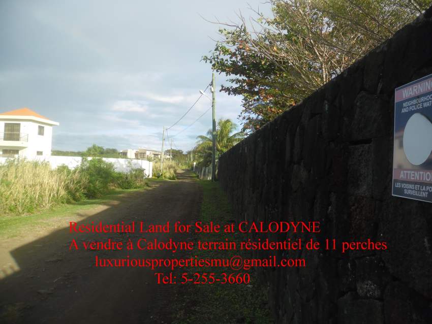 CALODYNE CHEVREAU LANE : Terrain résidentiel à Vendre on Aster Vender