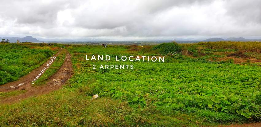 Agricultural land 1,000,000 per Arpent on Aster Vender