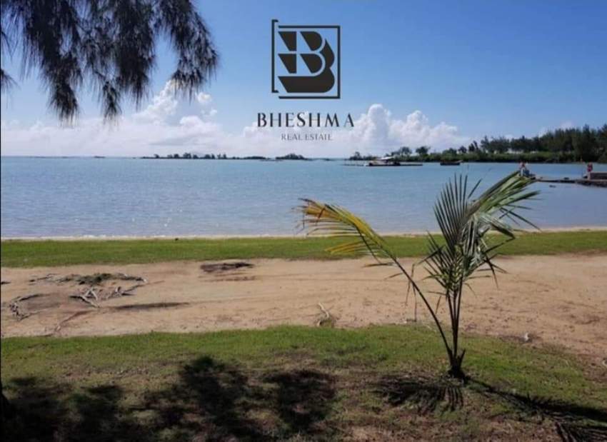 #RESERVED - 2 - Land  on Aster Vender