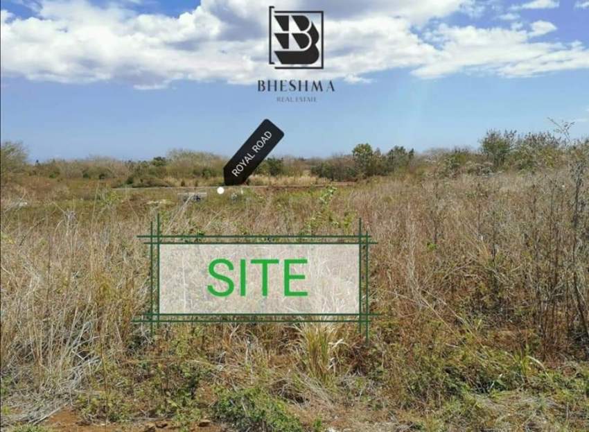 #RESERVED - 7 - Land  on Aster Vender