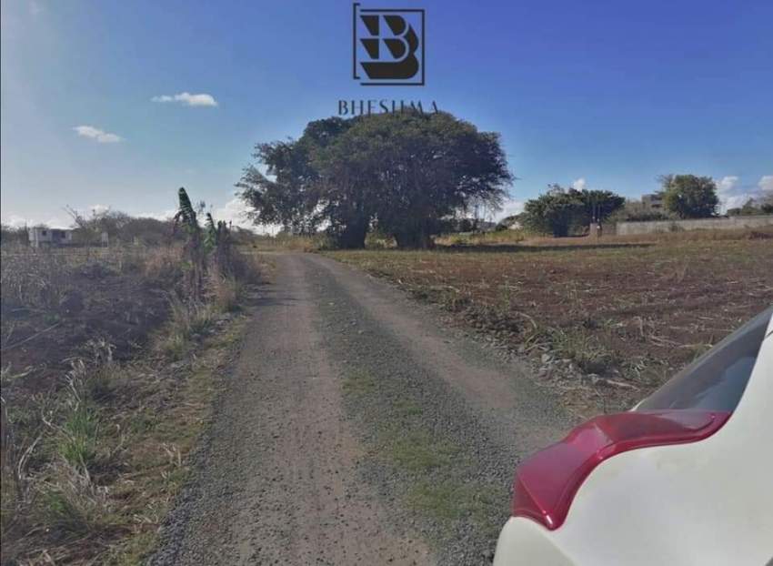 #RESERVED - 4 - Land  on Aster Vender