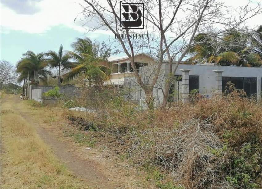 #RESERVED - 3 - Land  on Aster Vender