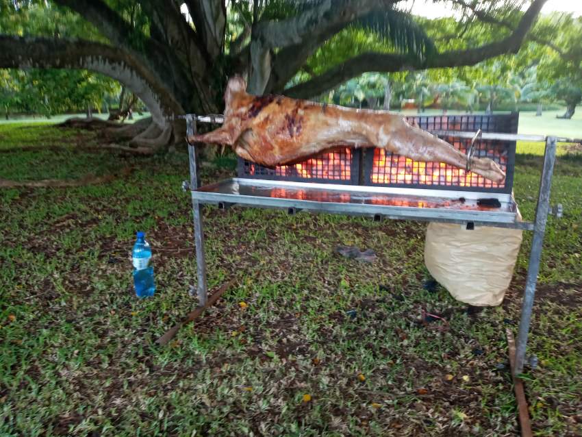 service catering a domicile  - 0 - Catering & Restaurant  on Aster Vender