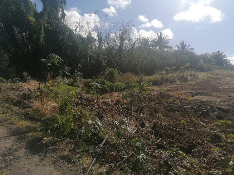 Land for sale at Calodyne - 5 - Land  on Aster Vender