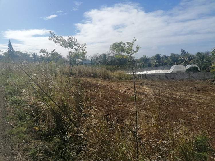 Land for sale at Calodyne - 2 - Land  on Aster Vender