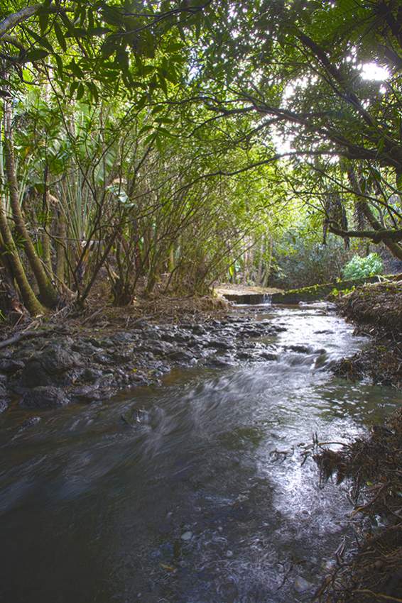 Land of 4684 m2 for sale in the Avalon Golf Estate, Bois Cheri - 5 - Land  on Aster Vender