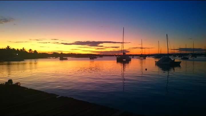 Visit Coin de Mire at only Rs1200 per person. - 0 - Catamaran Trip  on Aster Vender