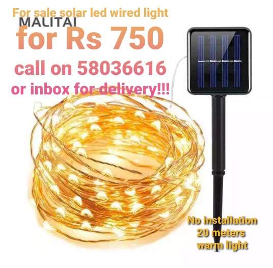 Solar light - 0 - Garden Decorations  on Aster Vender