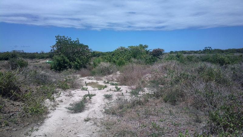 Roche terre - 1 - Land  on Aster Vender