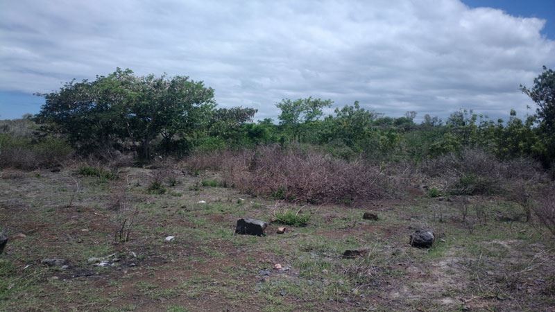 Roche terre - 3 - Land  on Aster Vender