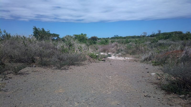 Roche terre - 4 - Land  on Aster Vender