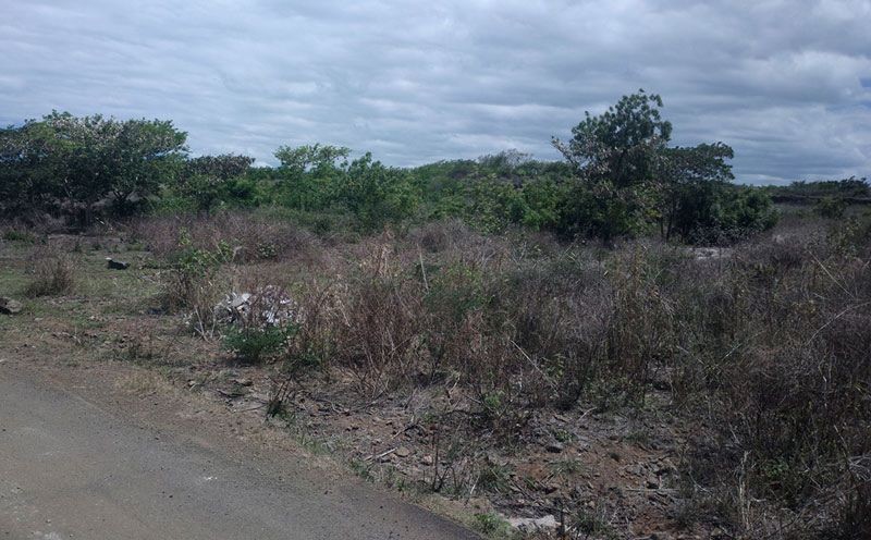 Roche terre - 2 - Land  on Aster Vender