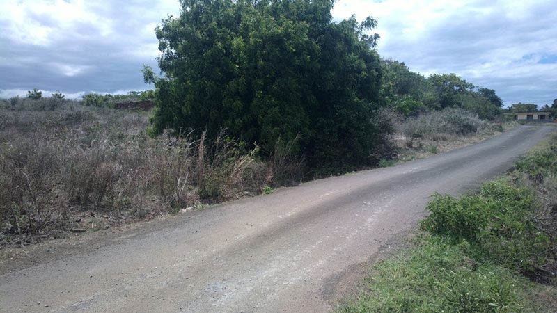 Roche terre on Aster Vender