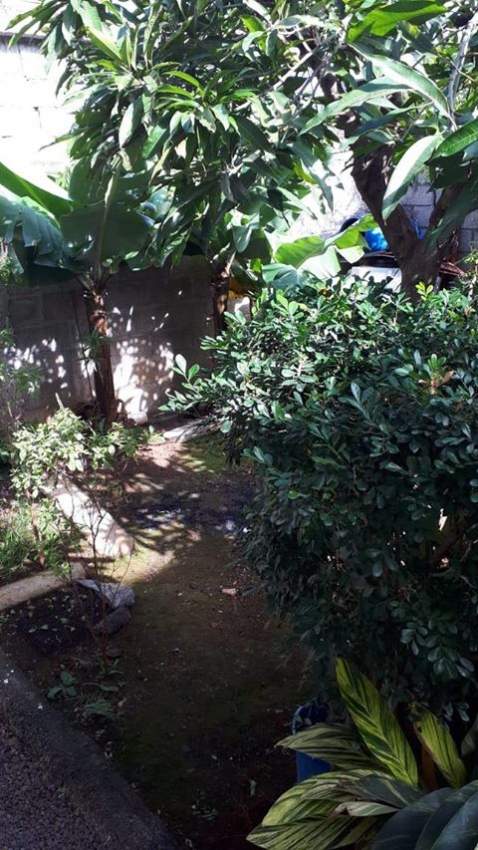 HOUSE ON SALE / MAISON A VENDRE - 3 - House  on Aster Vender