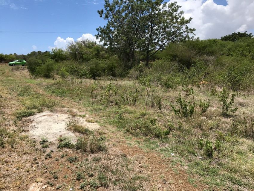 Cap Malheureux - 3 - Land  on Aster Vender