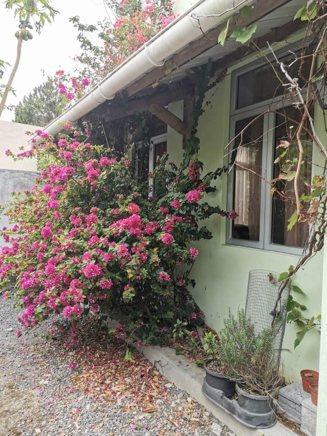 Maison à vendre - 1 - House  on Aster Vender