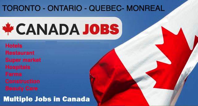 PROFESSIONAL JOB RECRUITERS (MAURITIUS) LTD on Aster Vender