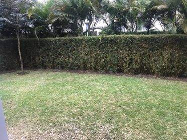 APARTMENT ON RENT IN LES ALLEES HELVETIA - 2 - Apartments  on Aster Vender