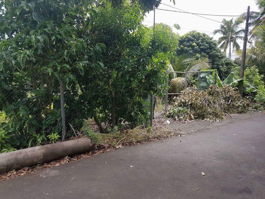 For sale a residential land of an extent of 10.50 perches  - 3 - House  on Aster Vender