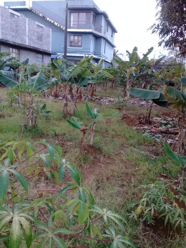 Residential Land 7 perches At L'escalier - 1 - Land  on Aster Vender