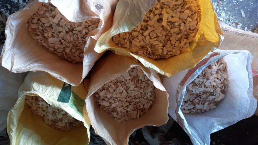 Woodchips - 1 - Plants and Trees  on Aster Vender