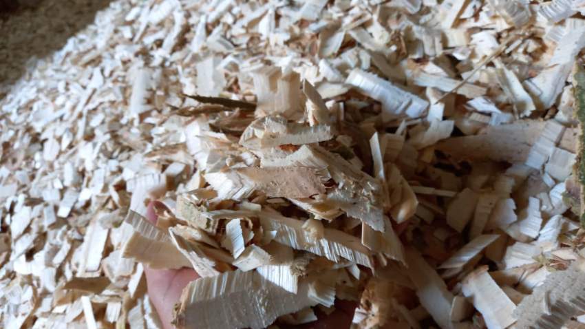 Woodchips - 3 - Plants and Trees  on Aster Vender