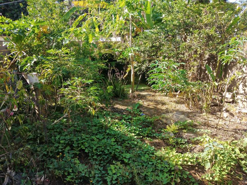 House at boundary Rose hill - 4 - House  on Aster Vender