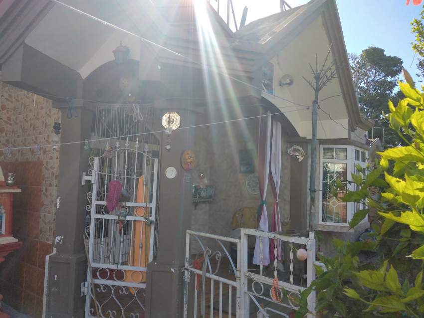 House at boundary Rose hill - 3 - House  on Aster Vender