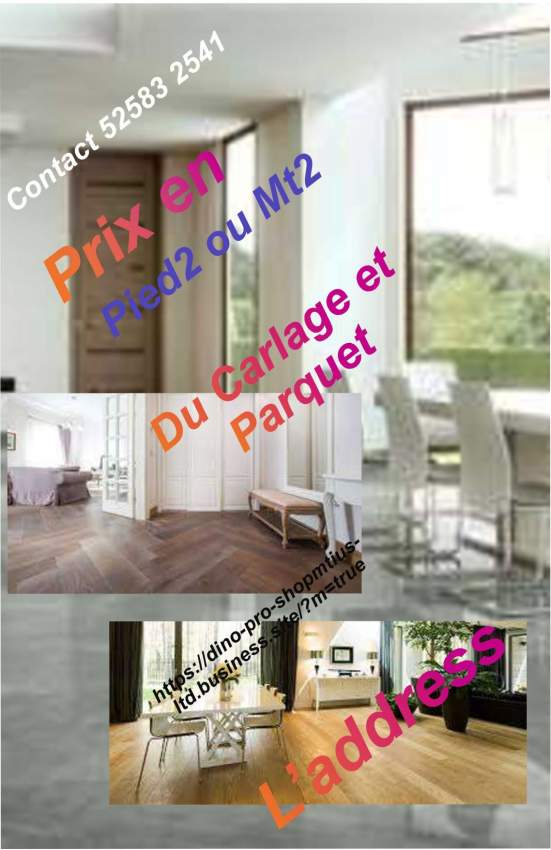 Tiles, Bricks, and Floating Parquets fixing - 0 - Bathroom  on Aster Vender