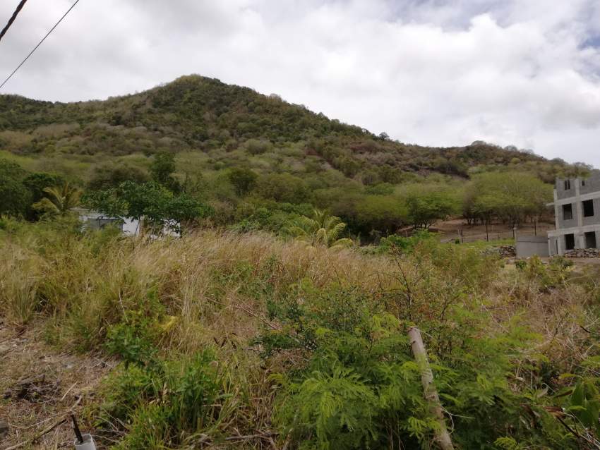 Land for sale . Morc La Fleche . La Gaulette. - 1 - Land  on Aster Vender