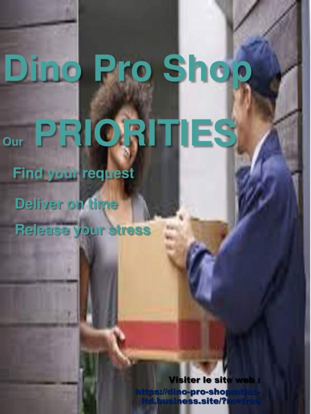 DINO PRO SHOP - 0 - Home repairs & installation  on Aster Vender