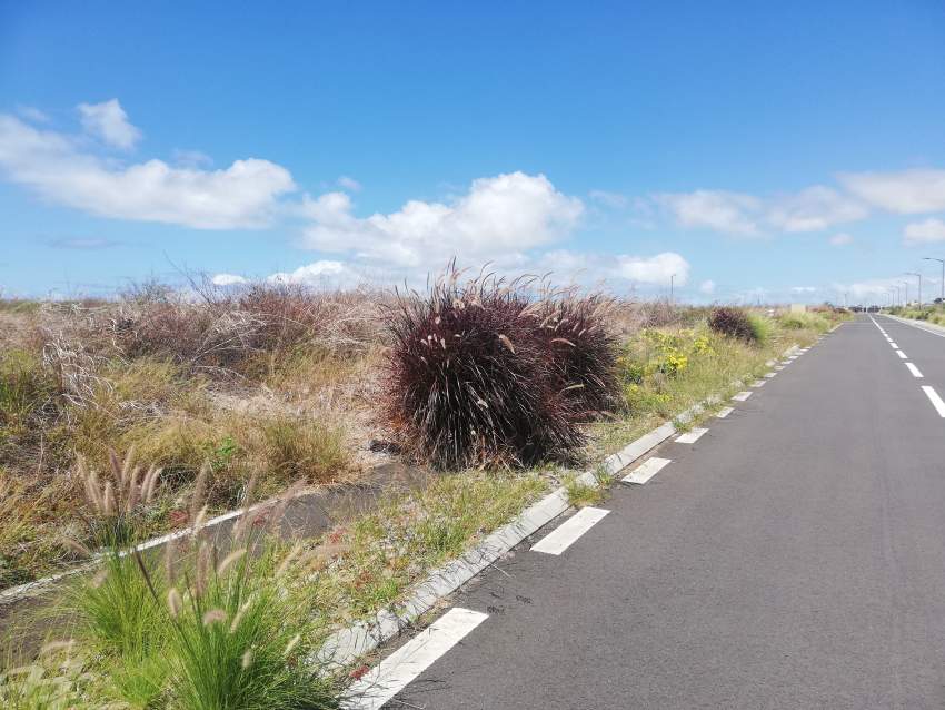 Terrain résidentiel 181 toises Beau Vallon Côté Mer - 0 - Land  on Aster Vender