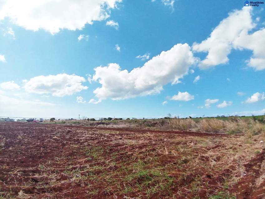 Agricultural land under irrigation of 1 arpent 7 perches Triolet - 2 - Land  on Aster Vender