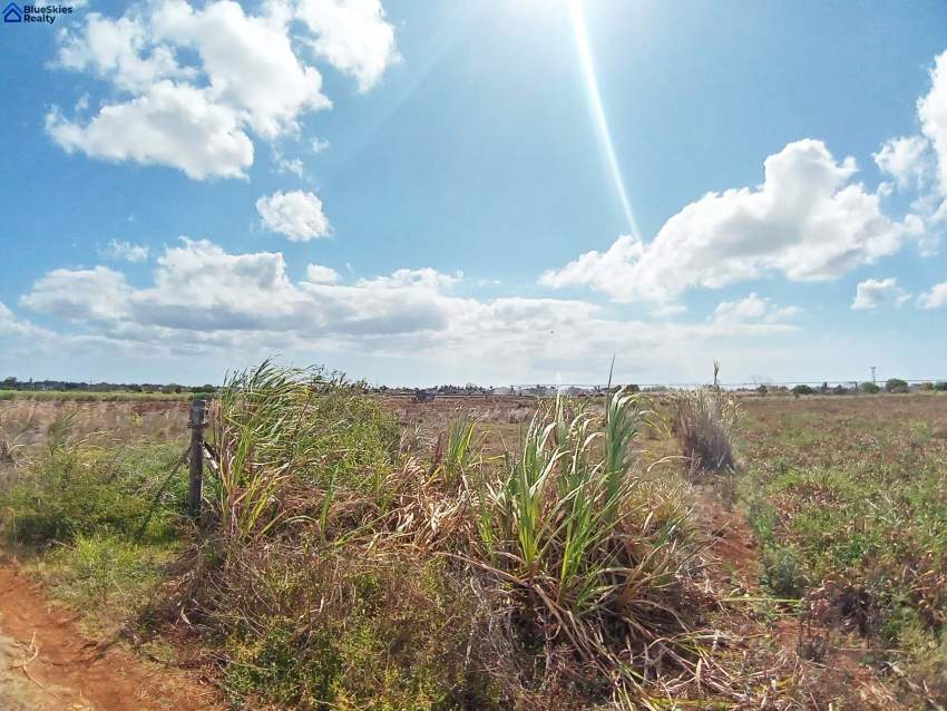 Agricultural land under irrigation of 1 arpent 7 perches Triolet - 4 - Land  on Aster Vender