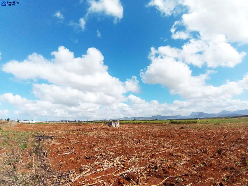 Agricultural land under irrigation of 1 arpent 7 perches Triolet - 0 - Land  on Aster Vender