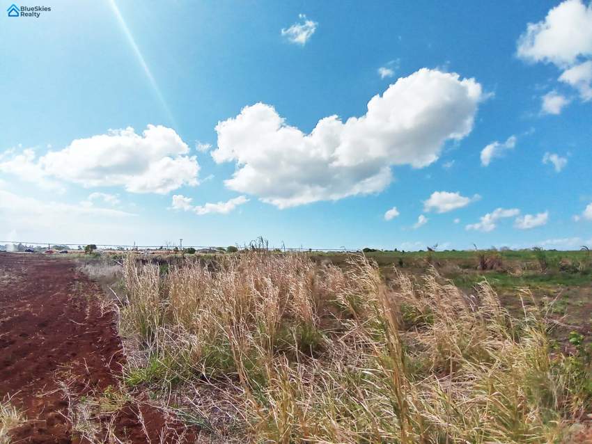 Agricultural land under irrigation of 1 arpent 7 perches Triolet - 3 - Land  on Aster Vender