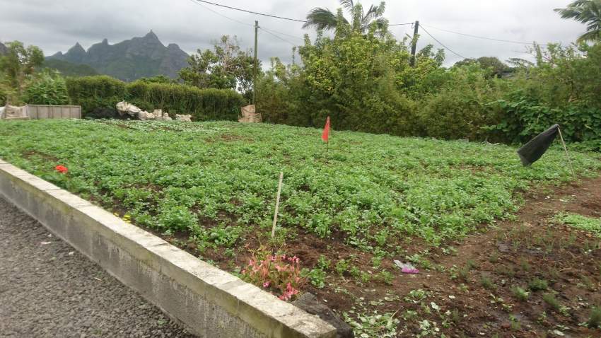 House & Land for sale - 3 - House  on Aster Vender