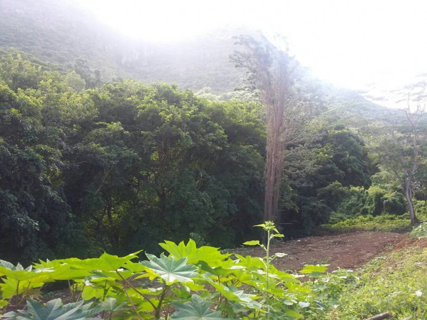 Several plots of land at Morc le bocage - 0 - Land  on Aster Vender