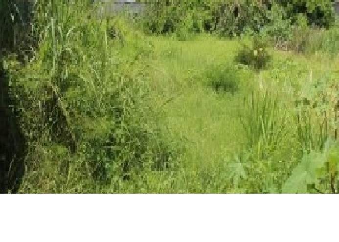 Terrain a vendre a quatre bornes - 80 toises on Aster Vender