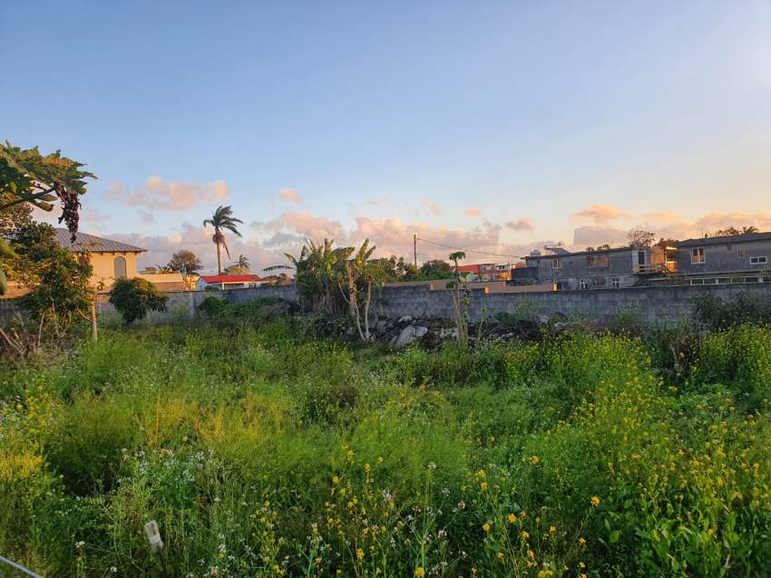 Land for Sale in Centre of Glen-Park, Vacoas - 3 - Land  on Aster Vender
