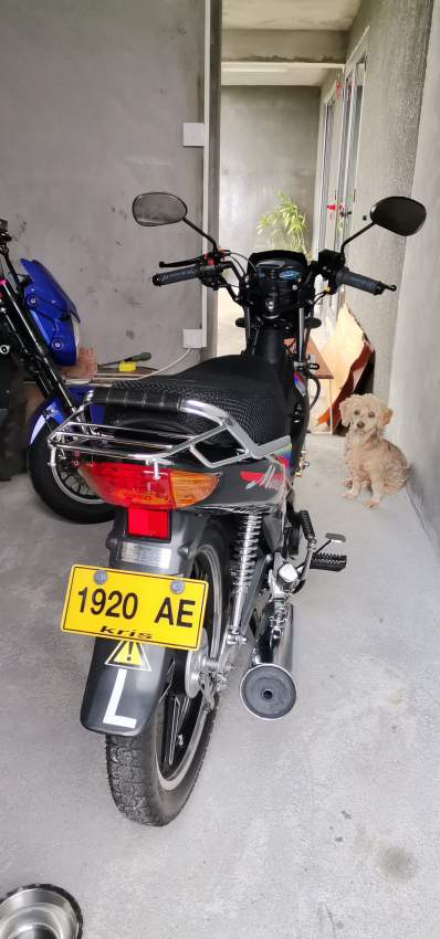 Mondial 50cc - 1  on Aster Vender