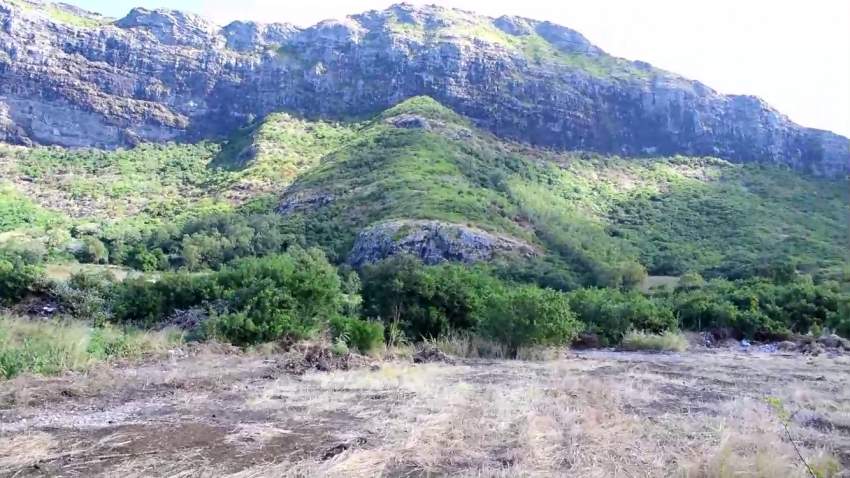 1000 toises Avenue Berthaud Rose-Hill on Aster Vender