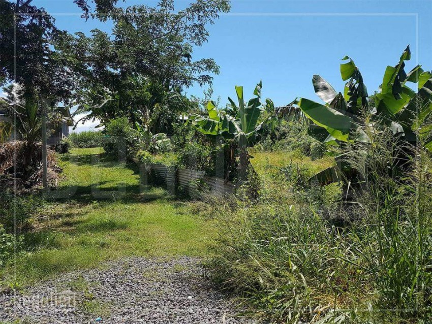 Residential land 15 Ps,  Rivière du Rempart  - 2 - Land  on Aster Vender