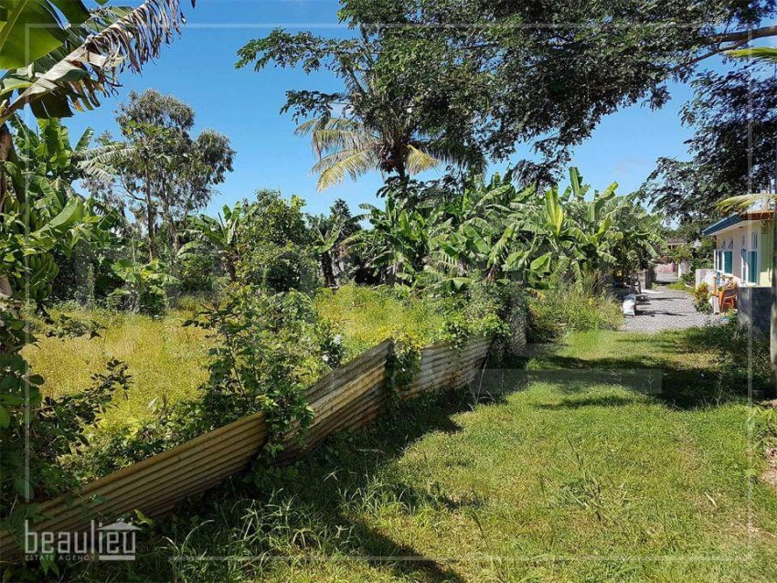 Residential land 15 Ps,  Rivière du Rempart  - 1 - Land  on Aster Vender