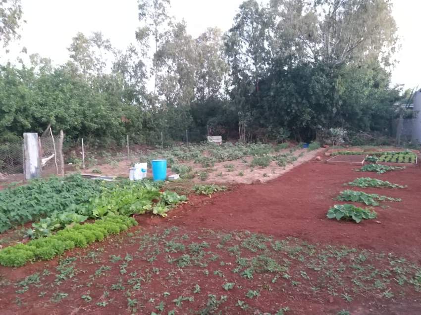 Residential land  - 6 - Land  on Aster Vender