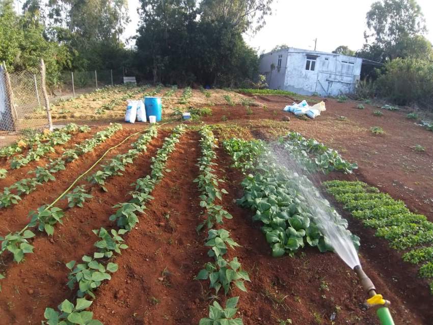 Residential land  - 3 - Land  on Aster Vender